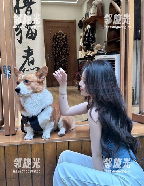 一边享受朝阳，一边刷吃瓜网官网，生活也太极致微妙了吧！