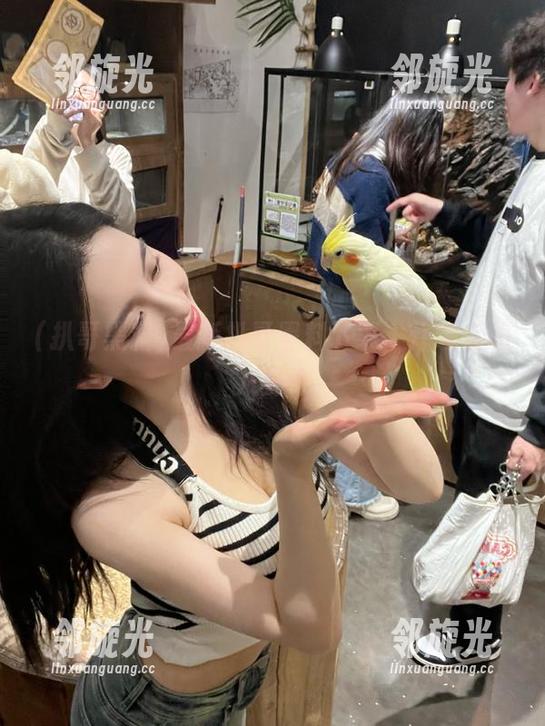 最新扒哥黑料下载，炸裂你的八卦心
